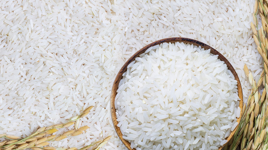 Riz sécurité alimentaire Haiti